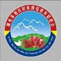 阿克苏地区民族团结进步促进会