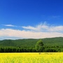 阿荣旗新立村村委会