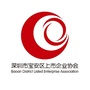广东省宝安区上市企业协会：宝安区上市企业协会筹备工作方案