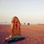 河北省北戴河的邂逅