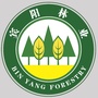 广西省宾阳县林业局微信公众号