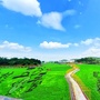 广西省宾阳