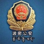西藏区波密_波密海拔多少米