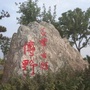 博野乎