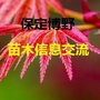 博野苗木信息平台