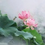 禅城诗词