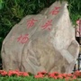 广东省禅城区石头市场微信公众号