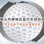广东省禅城区高尔夫球协会