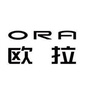 长丰欧拉ORA专营店