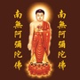 福建省长乐区义工素食护生放生