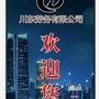 安徽省巢湖市川东劳务有限公司