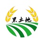 北京市朝阳黑土地