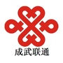 成武联通
