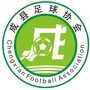 甘肃省成县足球协会_江苏省足球协会官网