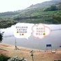 湖南省辰溪老刘鸭