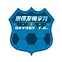崇信县友情岁月足球俱乐部