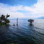 大东海纳百川