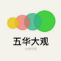 大观