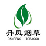陕西省丹凤烟草与您同行微信公众号