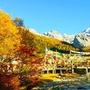 四川省稻城的水果君