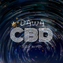 辽宁省大洼CBD：大洼区政府官网