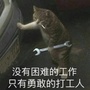 辽宁省大洼村PANDA杂货铺微信公众号