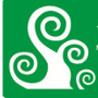 大邑县南街小学