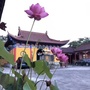 浙江省德清县福佑寺
