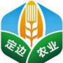 陕西省定边农业