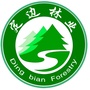 陕西省定边林业