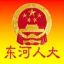 东河人大
