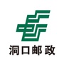 湖南省洞口邮政服务
