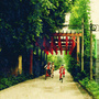 斗门乡村旅游