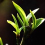河南省方城普洱藏家_方城七峰山