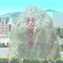 坊子