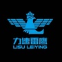 肥城市雷鹰轮滑俱乐部