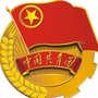 安徽省肥西县三河镇团委