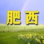 安徽省肥西大城小事