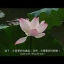 封开