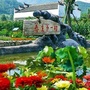 陕西省凤县红花铺镇党务微信公众号