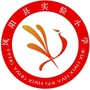 安徽省凤阳县实验小学