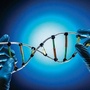 福建省丰泽区生物名师工作室
