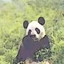 陕西省佛坪资讯（佛坪自然保护区）