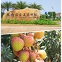 山东省福山侯臣美丽乡村：新农村建设 美丽乡村