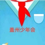 辽宁省盖州少年会微信公众号