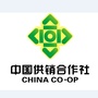 山东省高密供销
