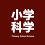 江苏省高邮市小学科学