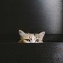 云南省个旧供电局
