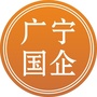 广宁县国企
