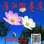 广西省灌阳微事通